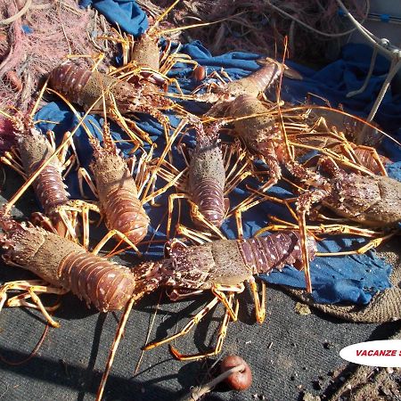 Sea Star - Appartamento Per Le Tue Vacanze Al Mare 리포스토 외부 사진